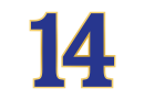 Santino Ferrucci's car number, #14