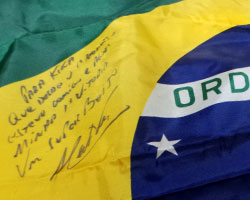 Brazilian Flag