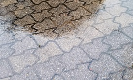 Thumbnail for Rain puts hold on Texas Motor Speedway activities