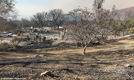 Thumbnail for Kimball remains focused on fire relief assistance in California
