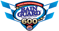 Rainguard Water Sealers 600